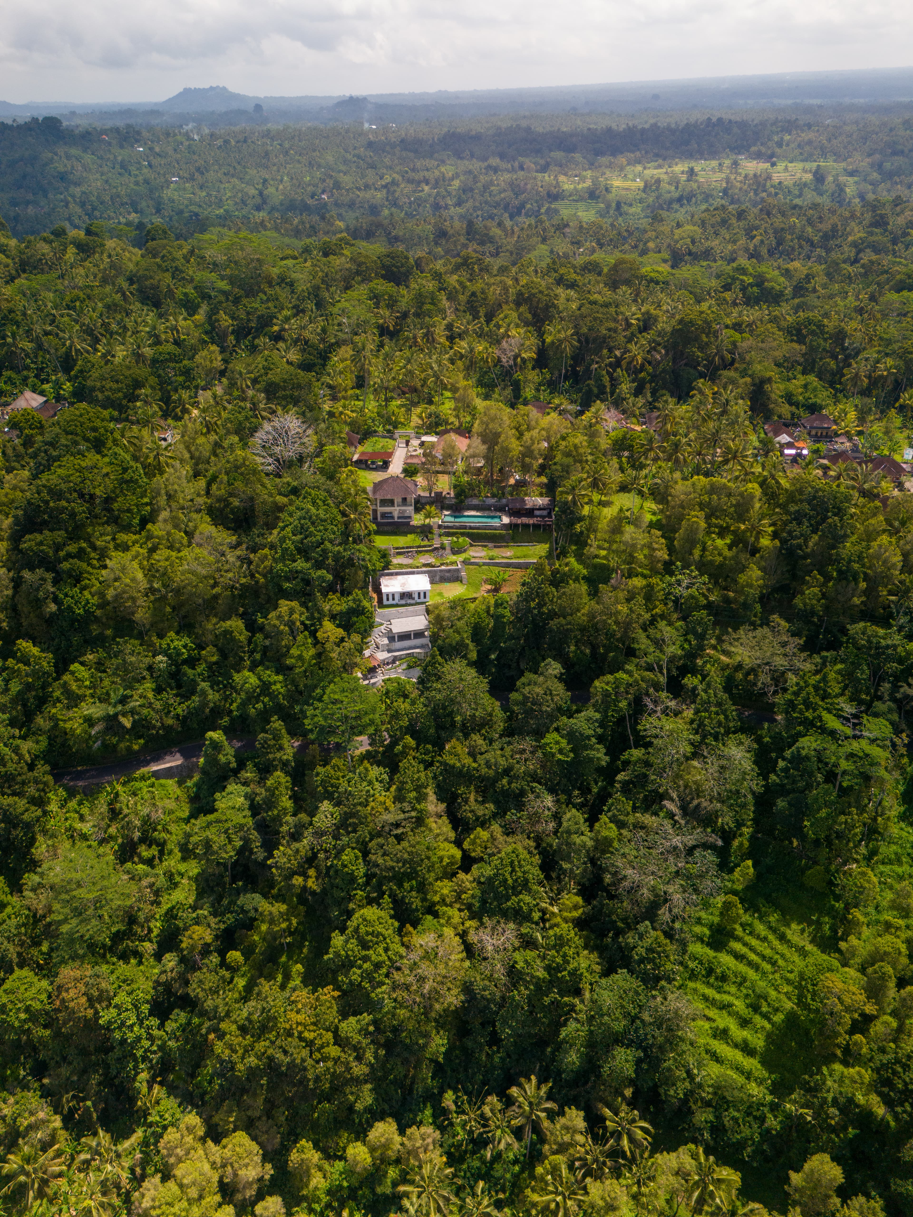 Real Estate & Property